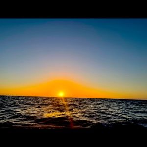 Meet your Posher, Coastal Farm!